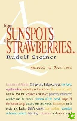 From Sunspots to Strawberries
