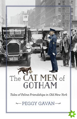 Cat Men of Gotham