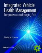 Integrated Vehicle Health Management Perspectives on an Emerging Field