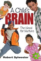Child's Brain