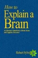 How to Explain a Brain