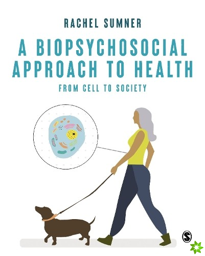 Biopsychosocial Approach to Health