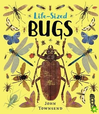 Life-Sized Bugs