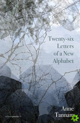 Twenty-six Letters of a New Alphabet