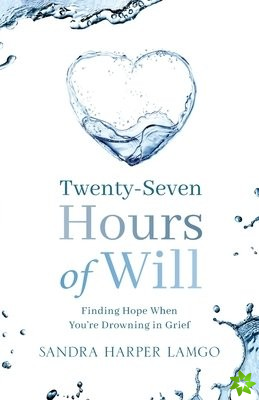 Twenty Seven Hours of Will