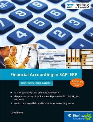 Financial Accounting in SAP ERP