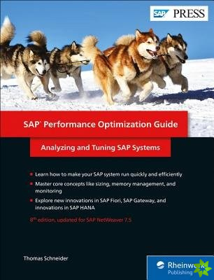 SAP Performance Optimization Guide