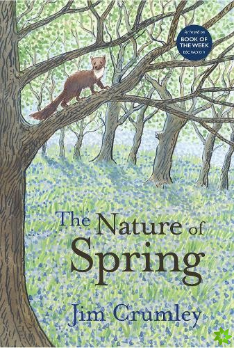 Nature of Spring