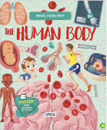 QUESTIONS ANSWERS HUMAN BODY