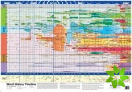 Super Jumbo - World History Timeline