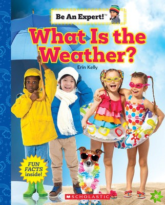 What Is the Weather? (Be an Expert!)