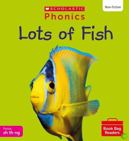 Lots of Fish (Set 4) Matched to Little Wandle Letters and Sounds Revised