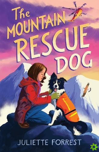 Mountain Rescue Dog