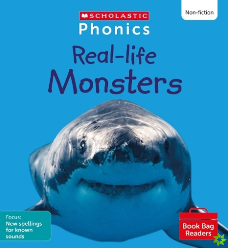 Real-life Monsters (Set 10) Matched to Little Wandle Letters and Sounds Revised