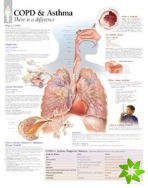 COPD & Asthma Laminated Poster