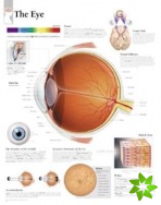 Eye Laminated Poster