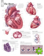 Heart Paper Poster
