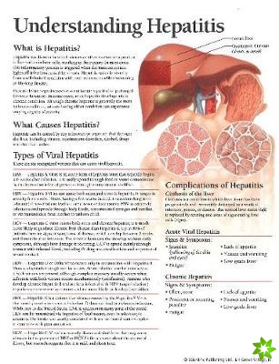 Understanding Hepatitis Model