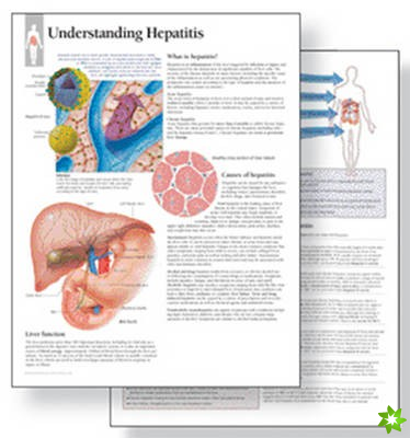 Understanding Hepatitis Study Set Replacement Pads