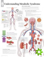 Understanding Metabolic Syndrome Paper Poster