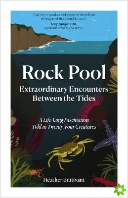 Rock Pool: Extraordinary Encounters Between the Tides