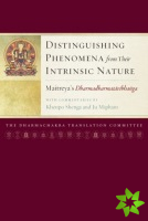 Distinguishing Phenomena from Their Intrinsic Nature