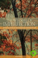 Wisdom of Imperfection