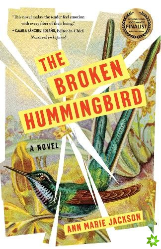 Broken Hummingbird