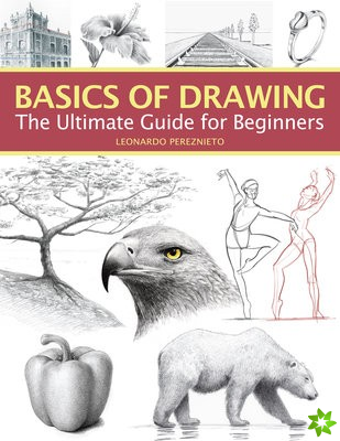 Basics of Drawing