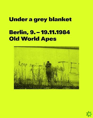 Under a grey blanket