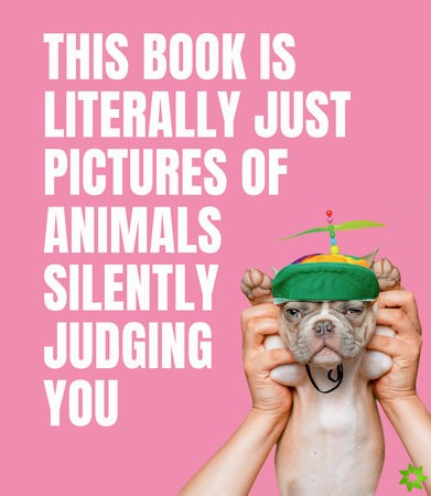 This Book is Literally Just Pictures of Animals Silently Judging You