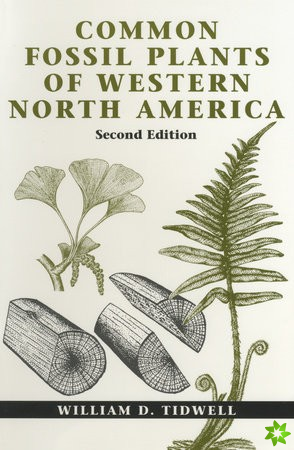 Common Fossil Plants of Western North America