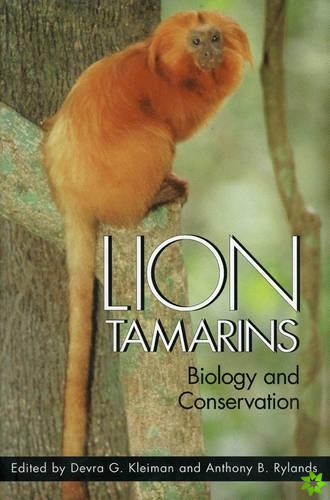 Lion Tamarins