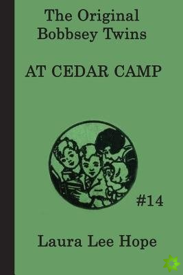 Bobbsey Twins at Cedar Camp