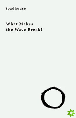 What Makes the Wave Break?