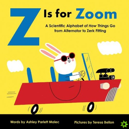 Z Is for Zoom