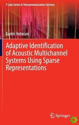 Adaptive Identification of Acoustic Multichannel Systems Using Sparse Representations