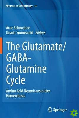 Glutamate/GABA-Glutamine Cycle