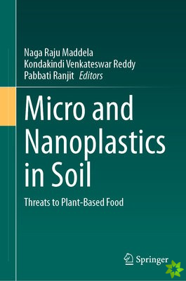 Micro and Nanoplastics in Soil