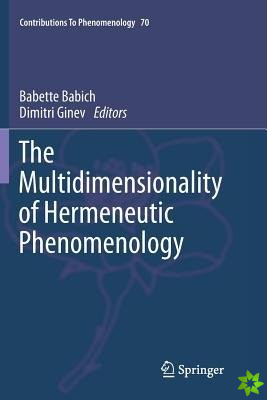 Multidimensionality of Hermeneutic Phenomenology