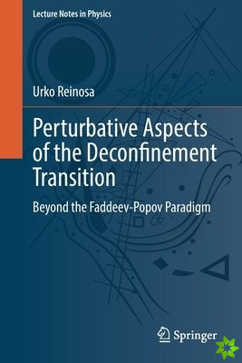 Perturbative Aspects of the Deconfinement Transition