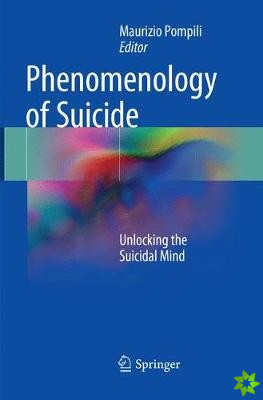 Phenomenology of Suicide