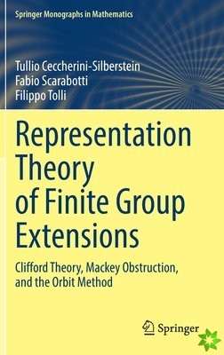 Representation Theory of Finite Group Extensions
