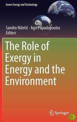 Role of Exergy in Energy and the Environment