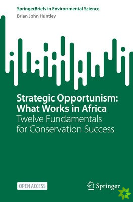 Strategic Opportunism: What Works in Africa