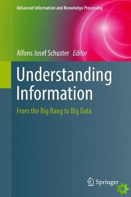 Understanding Information