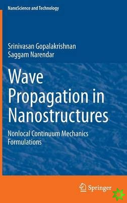 Wave Propagation in Nanostructures