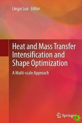 Heat and Mass Transfer Intensification and Shape Optimization