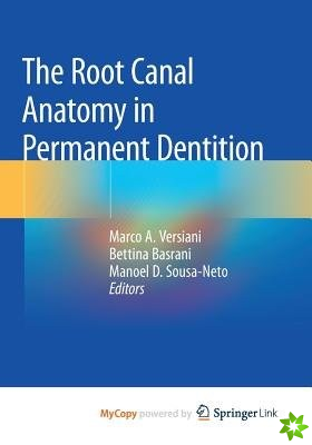 Root Canal Anatomy in Permanent Dentition