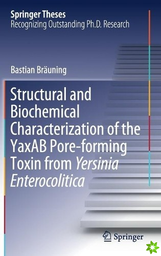 Structural and Biochemical Characterization of the YaxAB Pore-forming Toxin from Yersinia Enterocolitica